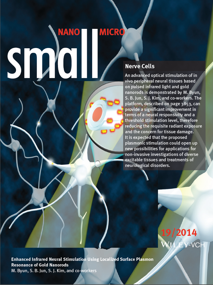 2014 Small frontispiece article image
