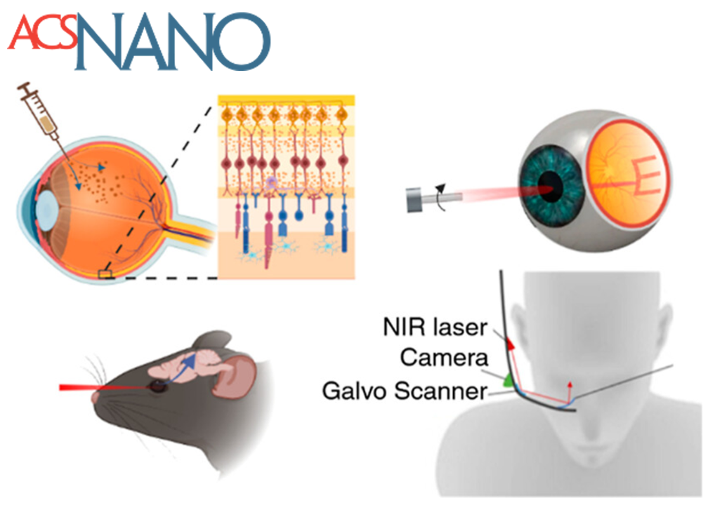 2025 ACS Nano image