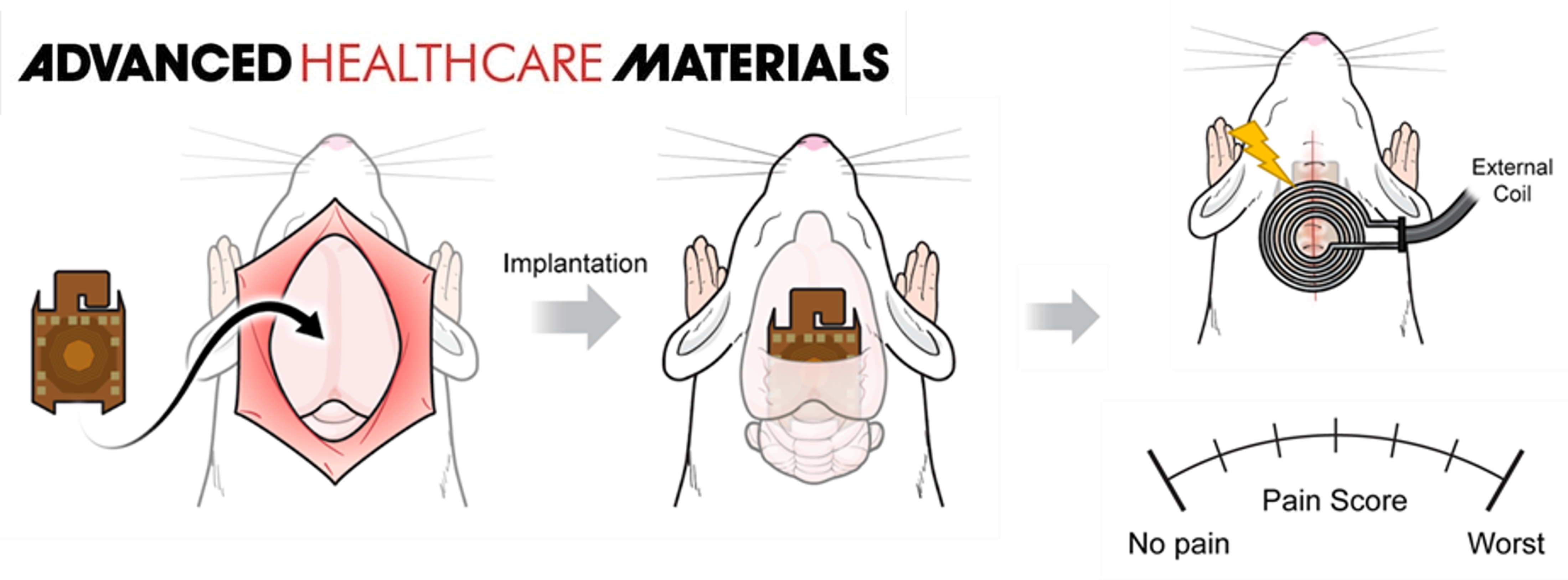 2025 Advanced Healthcare Materials image