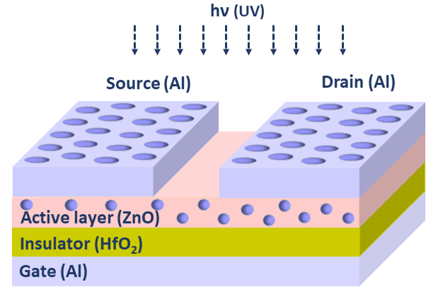 2025 IEEE Sensors Journal image