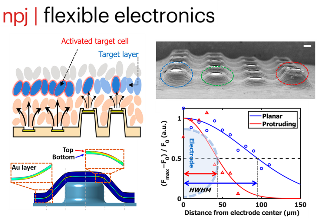 2025 npj Flexible Electronics image